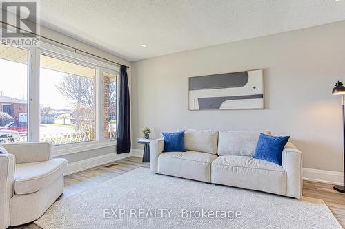 4 Colgate Court, Hamilton, ON - Indoor Photo Showing Living Room