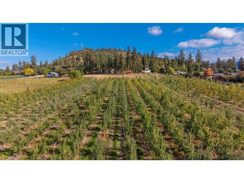 590 Brenda Road, Kelowna, BC - Outdoor With View