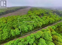 PT LT 6 BASELINE ROAD Grey Highlands, ON N0C 1H0