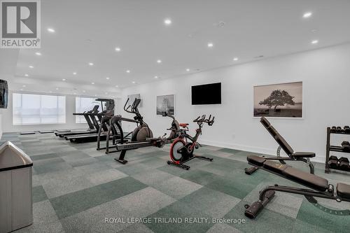 505 - 480 Callaway Road, London North (North R), ON - Indoor Photo Showing Gym Room