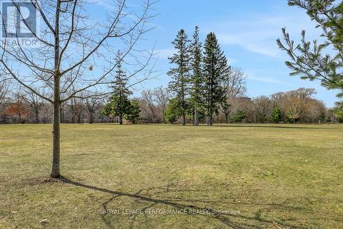 1141 North River Road, Ottawa, ON - Outdoor With View