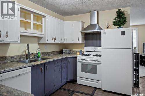 265 Magee Crescent, Regina, SK - Indoor Photo Showing Kitchen With Double Sink