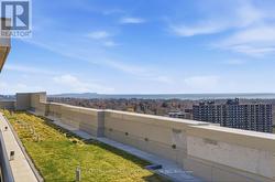 Roof Top - 
