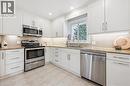 316 Dale Crescent, Waterloo, ON  - Indoor Photo Showing Kitchen With Upgraded Kitchen 