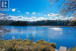 Water view with a heavily wooded area - 