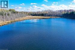 Water view featuring a heavily wooded area - 