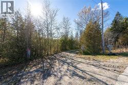 View of dirt / gravel road featuring a forest view - 