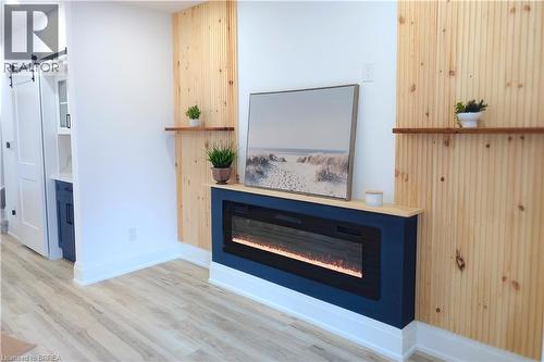 91 Princess Street, Hamilton, ON - Indoor Photo Showing Living Room With Fireplace