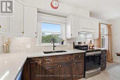 101 Organ Crescent, Hamilton, ON - Indoor Photo Showing Kitchen With Double Sink With Upgraded Kitchen