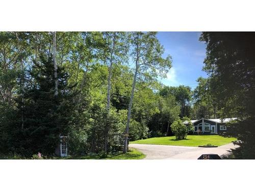 254 Main Street, Traytown, NL 