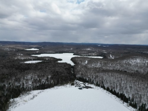 Terre/Terrain - Ch. Ste-Famille, Mont-Laurier, QC 