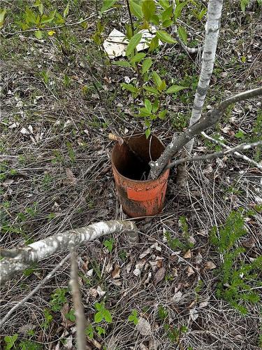 - Old Lewiston Rd, Havelock, NB 