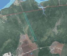 - Woodlot Route 117 Hardwicke  Hardwicke, NB E1N 5M7