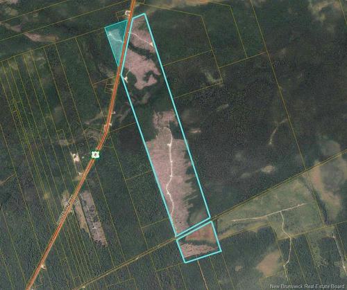- Timberland - Rte 8 Upper Blackville, Upper Blackville, NB 