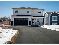 382 Back Line  Goulds, NL A1S 1A4