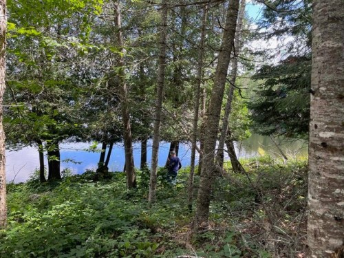 Bord de l'eau - Ch. Du Lac-Sarrazin, Lac-Saint-Paul, QC 