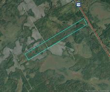 - WOODLOT 54 - RTE 126(BIRCH RIDGE)  Birch Ridge, NB E4T 2B7