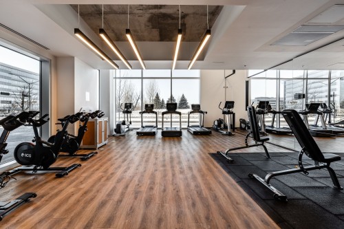 Salle d'exercice - 905-5905 Boul. Du Quartier, Brossard, QC - Indoor Photo Showing Gym Room