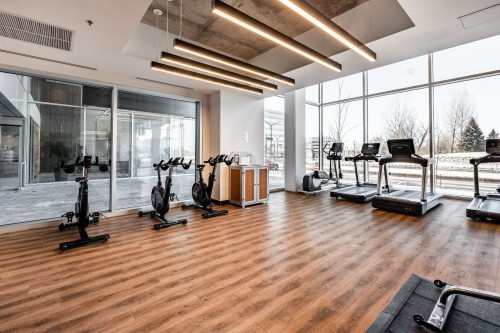 Salle d'exercice - 905-5905 Boul. Du Quartier, Brossard, QC - Indoor Photo Showing Gym Room