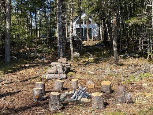 852 Moosepit Road, Westfield, NS 