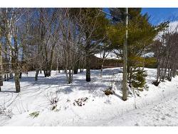 322 Route 350  Inkerman, NB E8P 1L1