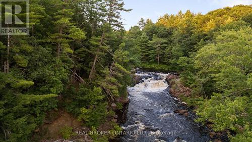 1401 COOPERS FALLS ROAD  Ramara, ON L0K 2B0