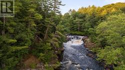 1401 COOPERS FALLS ROAD Ramara, ON L0K 2B0