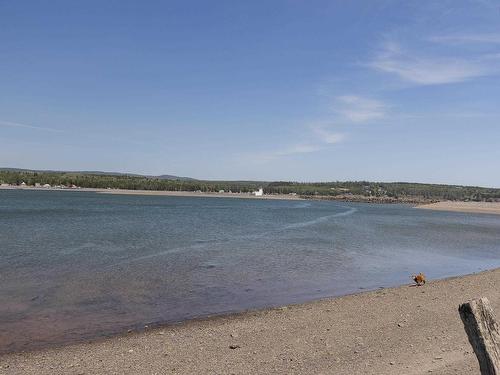 208 Lighthouse Road, Parrsboro, NS 