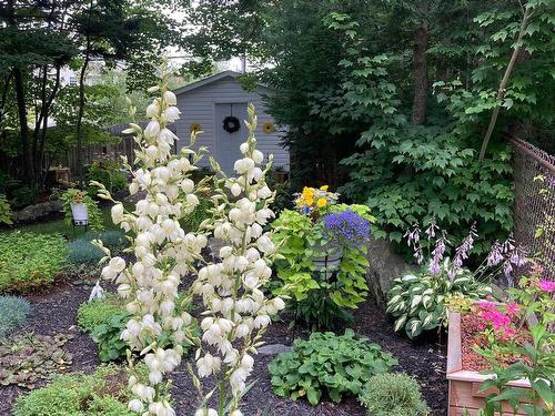 46 Stone Gate Court, Dartmouth, NS 