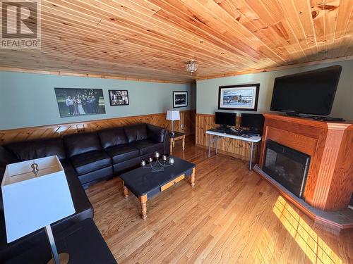 17 Hicks Road, Peter'S River, NL - Indoor Photo Showing Living Room With Fireplace