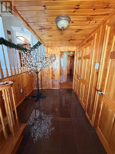 17 Hicks Road, Peter'S River, NL - Indoor Photo Showing Other Room