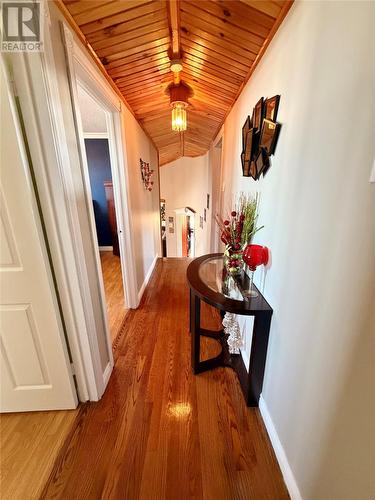 17 Hicks Road, Peter'S River, NL - Indoor Photo Showing Other Room