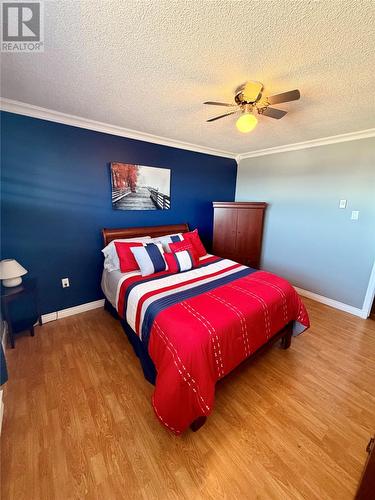 17 Hicks Road, Peter'S River, NL - Indoor Photo Showing Bedroom