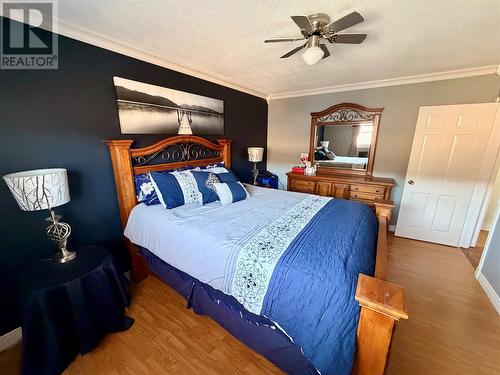 17 Hicks Road, Peter'S River, NL - Indoor Photo Showing Bedroom