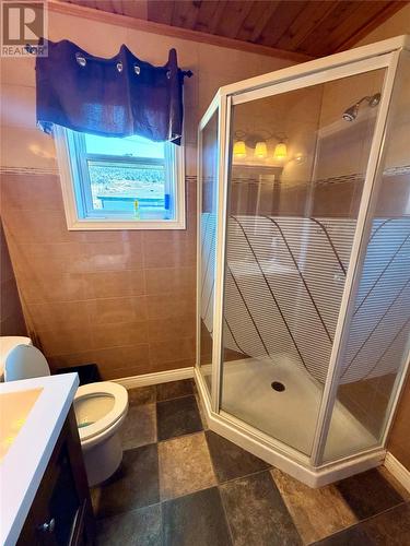 17 Hicks Road, Peter'S River, NL - Indoor Photo Showing Bathroom