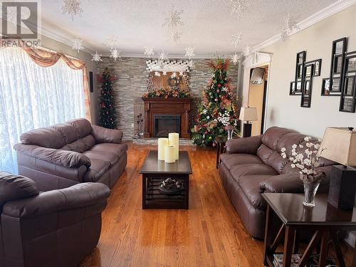 17 Hicks Road, Peter'S River, NL - Indoor Photo Showing Living Room With Fireplace