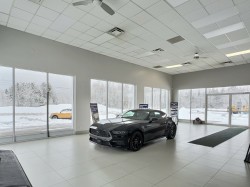 Interior - 
