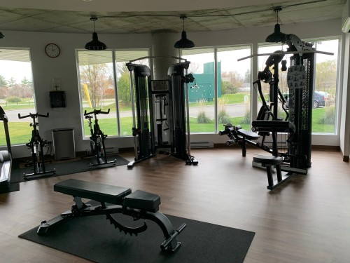 Salle d'exercice - 105-4 Av. Donegani, Pointe-Claire, QC - Indoor Photo Showing Gym Room