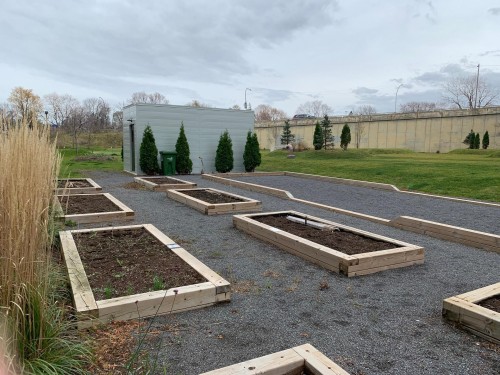 Jardin - 105-4 Av. Donegani, Pointe-Claire, QC - Outdoor