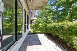 Patio - 