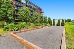 Courtyard - 