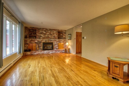 Salon - 6 Rue Edward, Ormstown, QC - Indoor Photo Showing Living Room With Fireplace