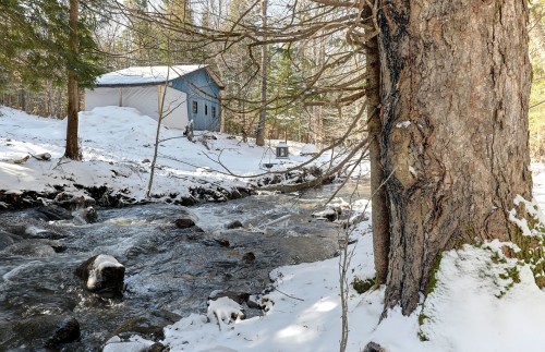 Water view - 70 Ch. Schoolcraft, Potton, QC - Outdoor