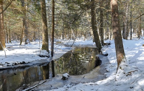 Water view - 70 Ch. Schoolcraft, Potton, QC - Outdoor With View