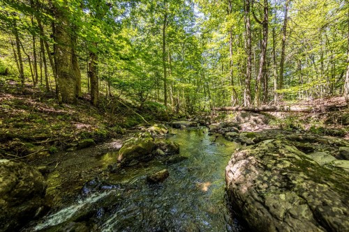 Exterior - 70 Ch. Schoolcraft, Potton, QC - Outdoor