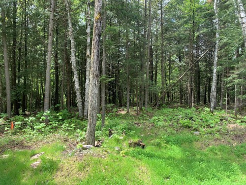 Terre/Terrain - Ch. Des Novateurs, La Conception, QC 