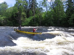 Bord de l'eau - 