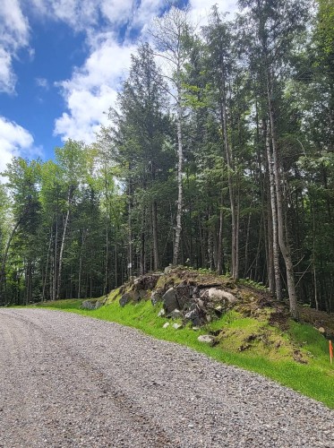 Terre/Terrain - Ch. Des Novateurs, La Conception, QC 