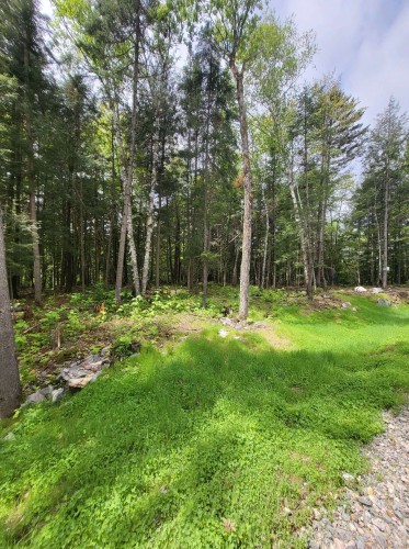 Terre/Terrain - Ch. Des Novateurs, La Conception, QC 