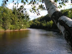 Bord de l'eau - 